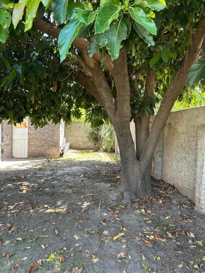 3-BEDROOM HOUSE FOR SALE AT HÉCTOR PANIZA 2900 - RUTA 20 AREA