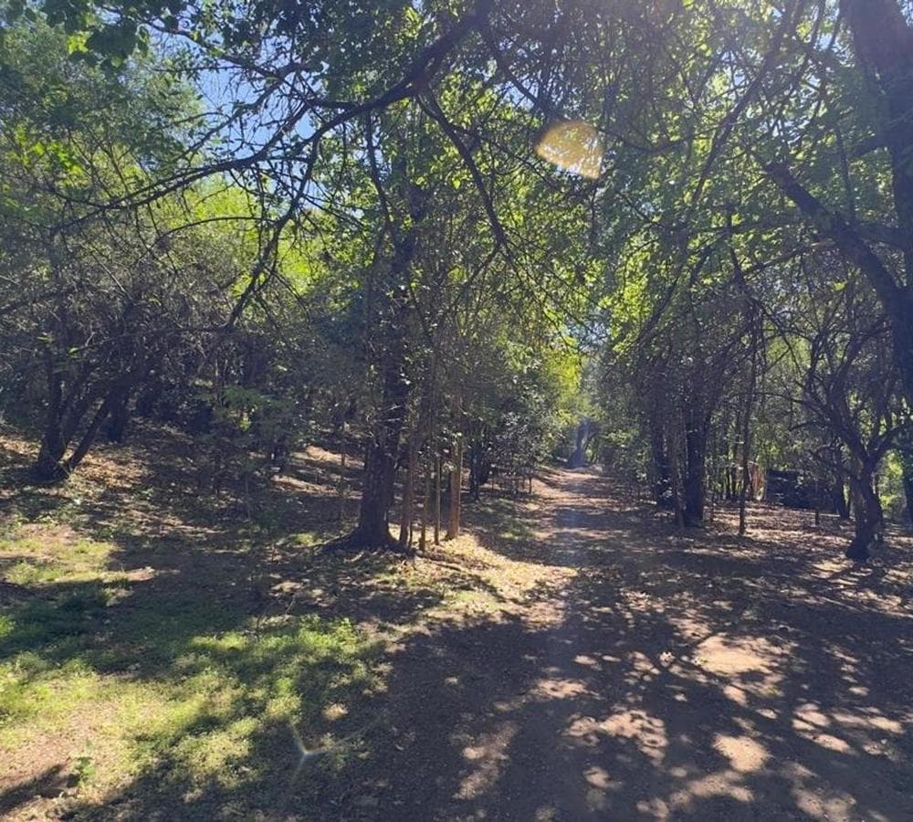 Land for Sale, 1,000 m², Villa los Altos, Río Ceballos