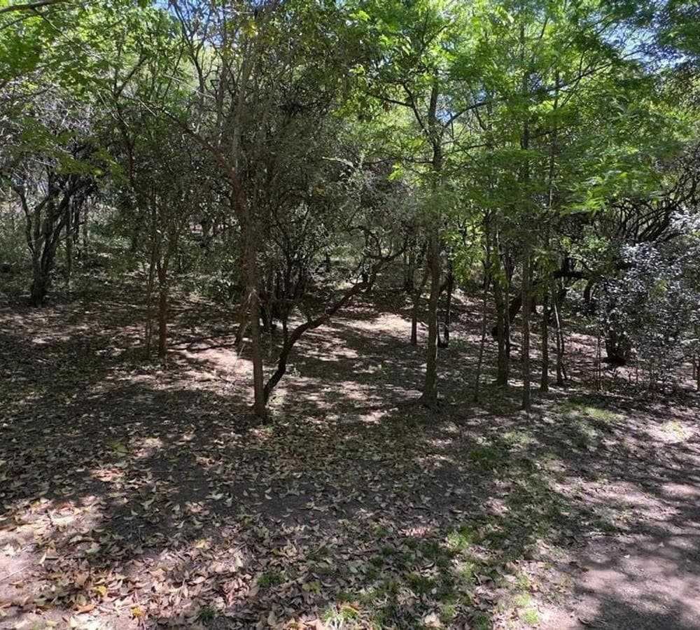 Land for Sale, 1,000 m², Villa los Altos, Río Ceballos