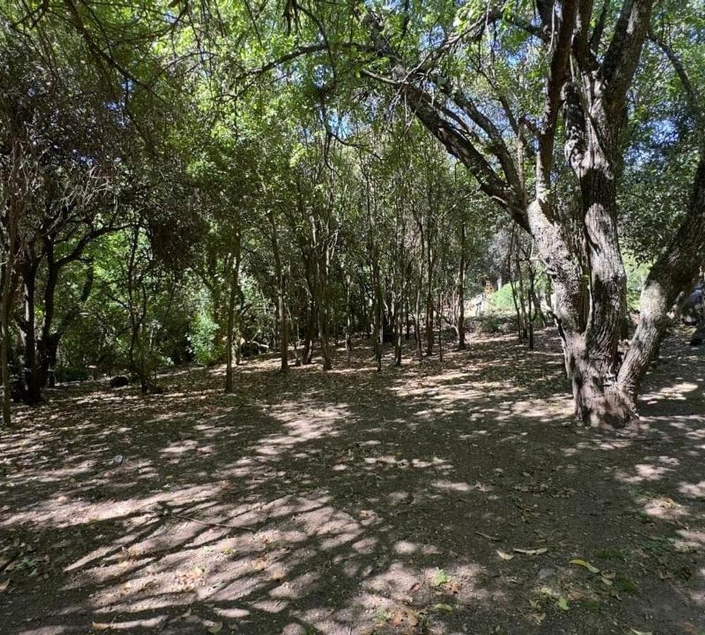 Land for Sale, 1,000 m², Villa los Altos, Río Ceballos