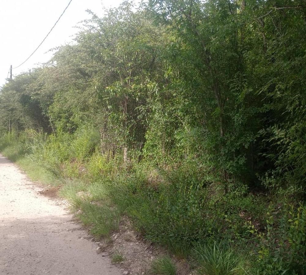 LAND FOR SALE IN CASA GRANDE, PUNILLA VALLEY