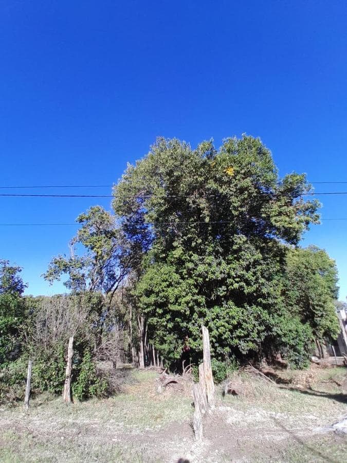 VILLA CATALINA LOT IN A GATED COMMUNITY WITH SECURITY, 400 M²