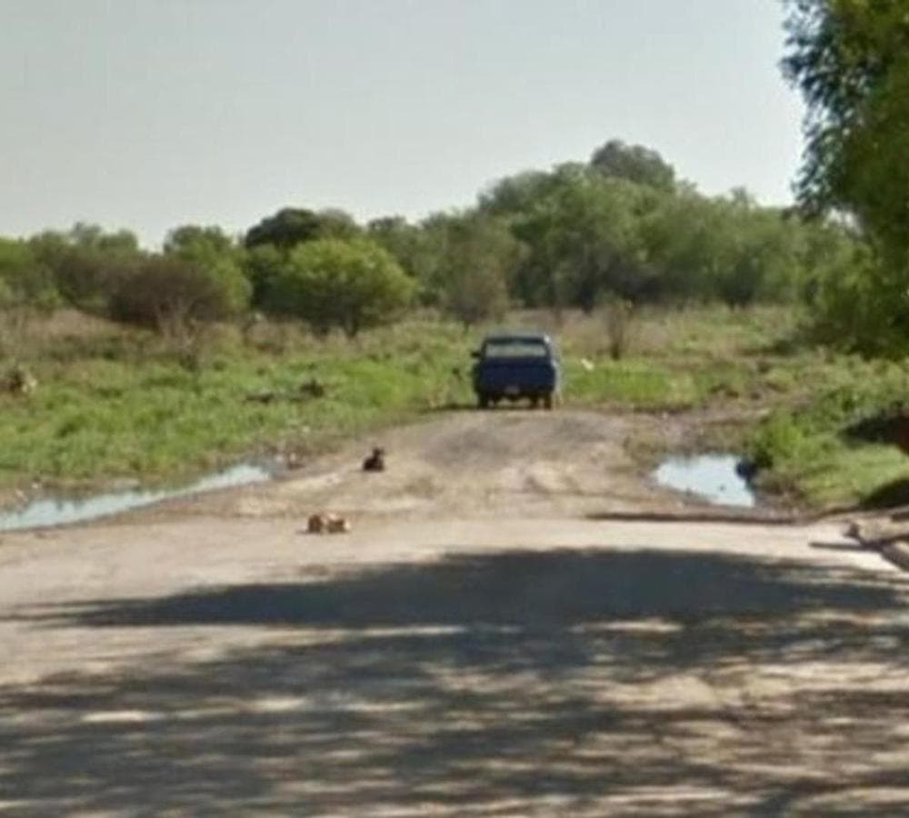 LAND SUITABLE FOR DEVELOPMENT IN THE FERREYRA NEIGHBORHOOD