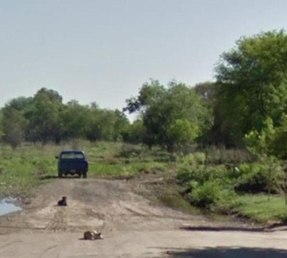 LAND SUITABLE FOR DEVELOPMENT IN THE FERREYRA NEIGHBORHOOD