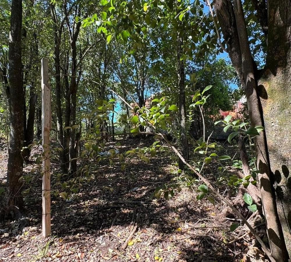 Lot for Sale: 300 m² in Villa Catalina, Rio Ceballos