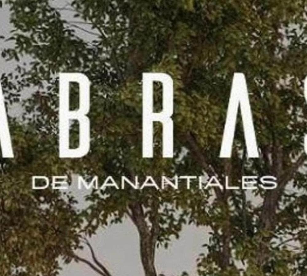 MANANTIALES ABRAS LOT