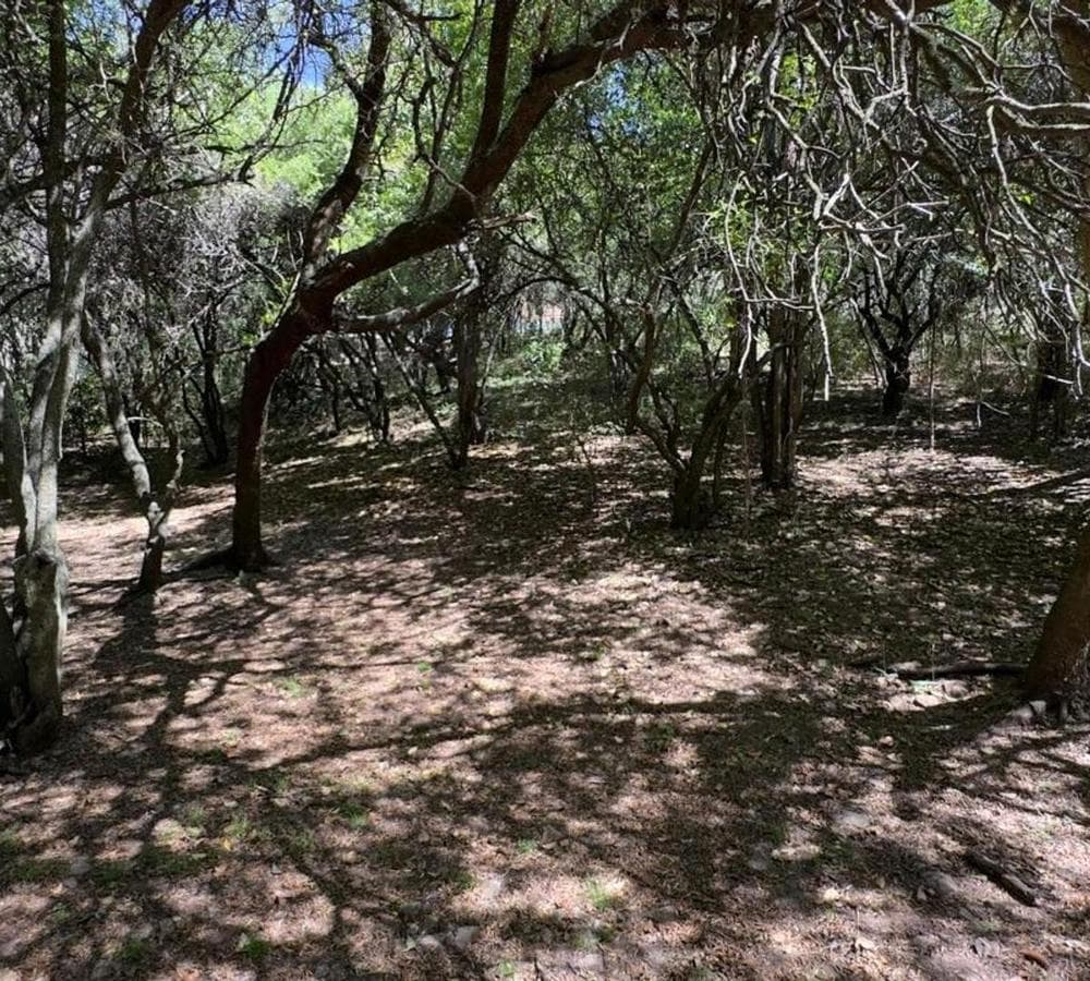 Two Lots for Sale, 1,000 m², Villa los Altos, Río Ceballos