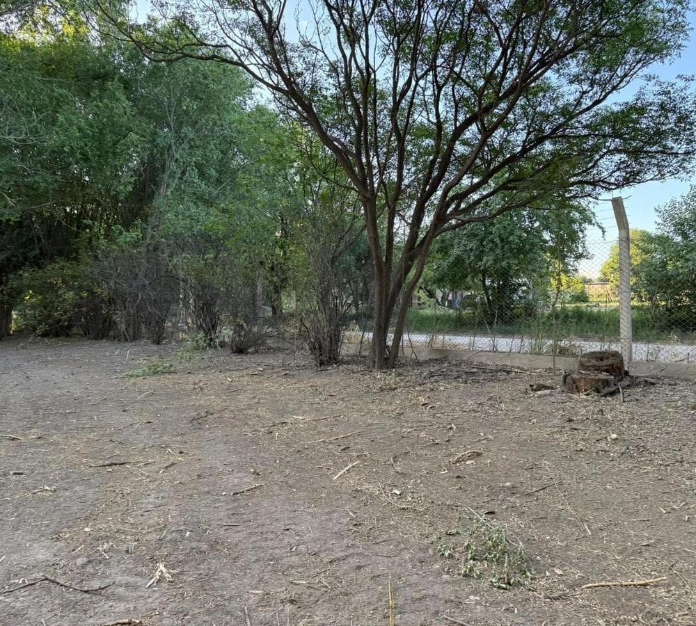 LOS AROMOS PROPERTY: THREE ADJOINING LOTS