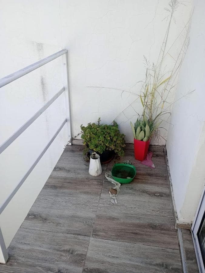 DUPLEX FOR SALE, GREAT OPPORTUNITY! SAN DANIEL NEIGHBORHOOD