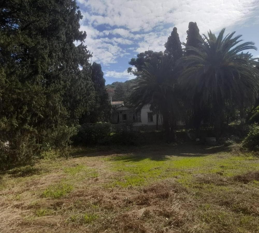 Land for Sale: 4,600 m² in Río Ceballos
