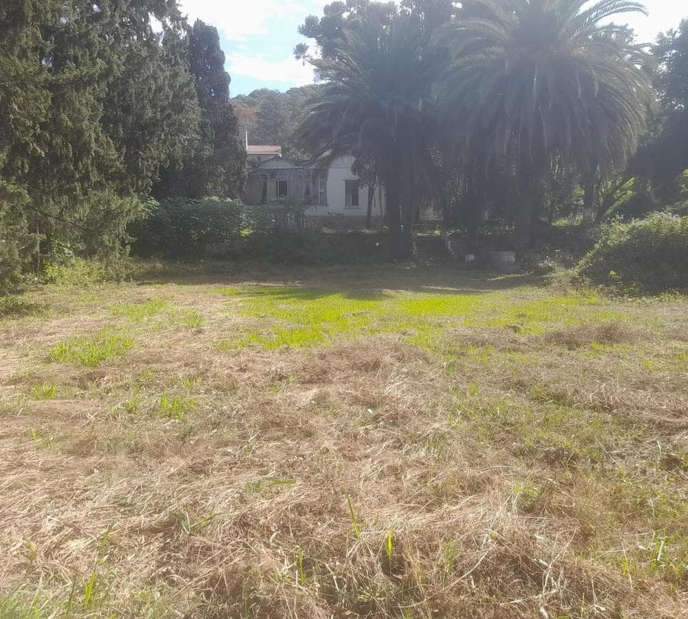 Land for Sale: 4,600 m² in Río Ceballos