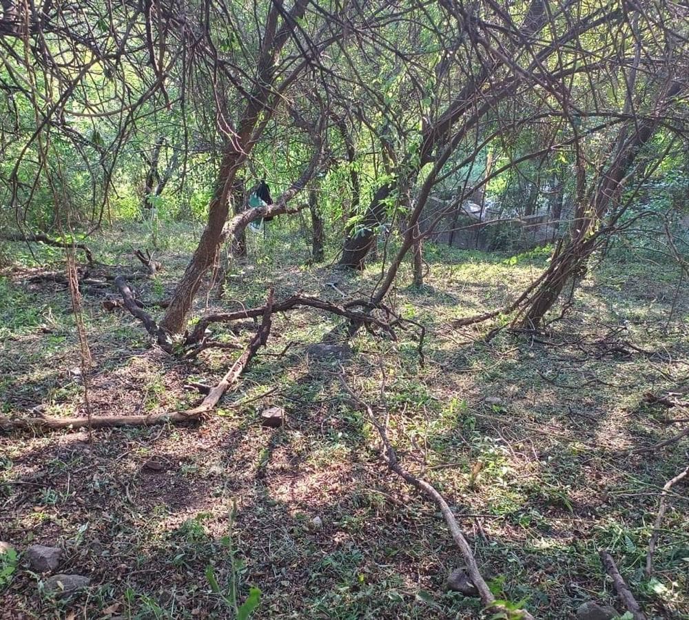 FOR SALE: LOT IN MENDIOLAZA, CORODBA