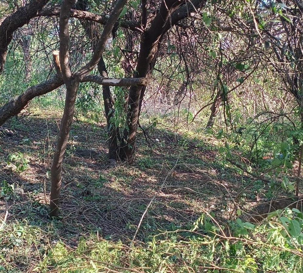 FOR SALE: LOT IN MENDIOLAZA, CORODBA