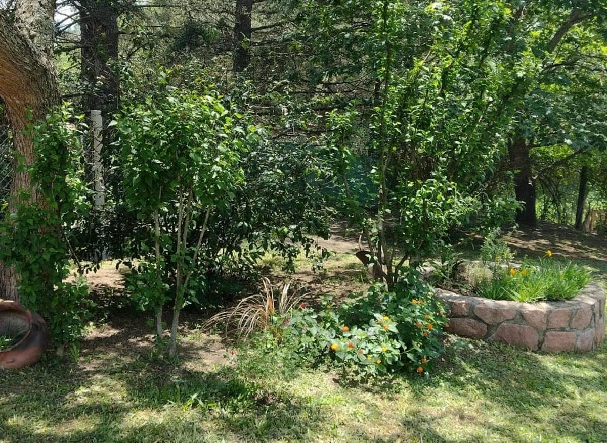 HOUSE AND CABINS FOR SALE IN ICHO CRUZ