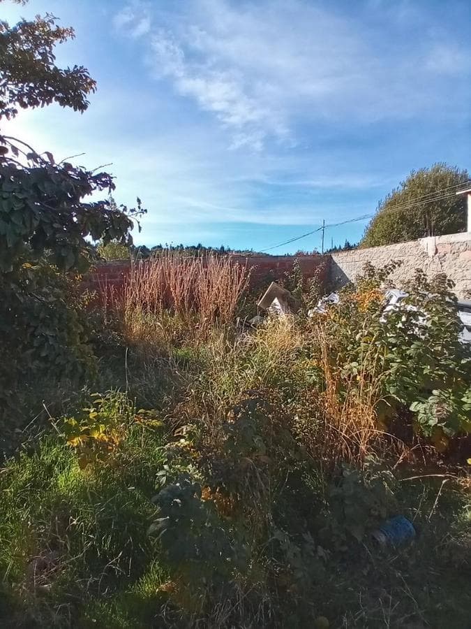 3-room house + shed and spacious backyard