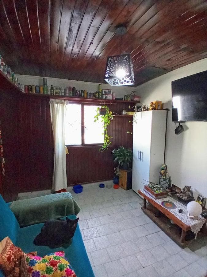 3-room house + shed and spacious backyard
