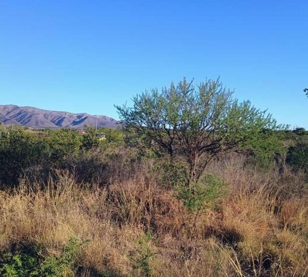 LAND IN CAPILLA DEL MONTE