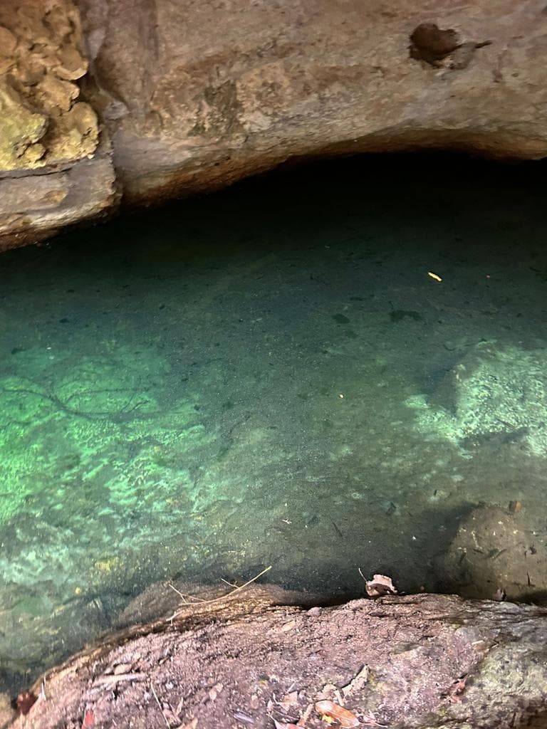 1,250 m² Lot for Sale in Region 15, Tulum | Private Cenote and Opportunity for Eco-Luxury Development