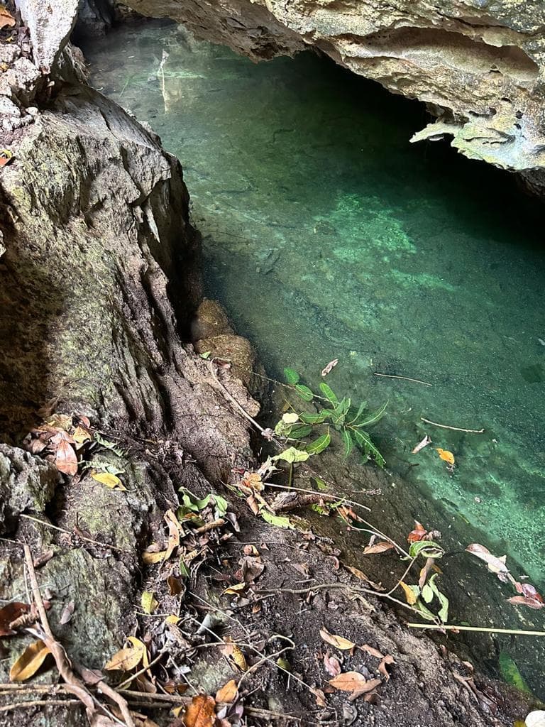1,250 m² Lot for Sale in Region 15, Tulum | Private Cenote and Opportunity for Eco-Luxury Development