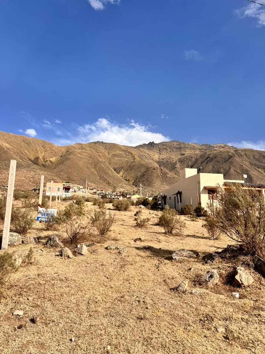 Land in El Mollar