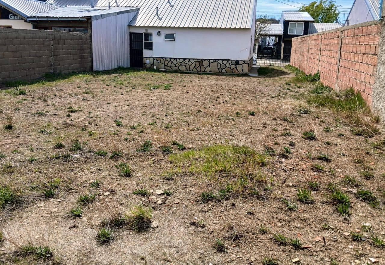 House 3 with over 300 lot