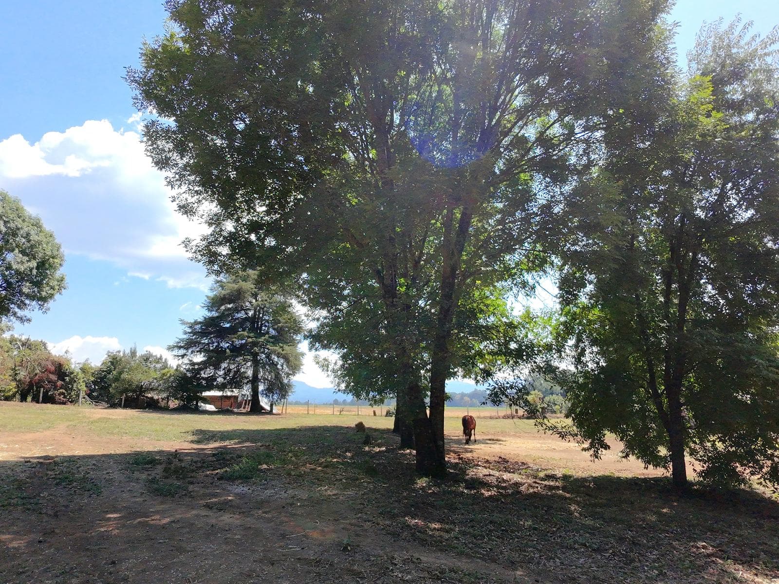 Land for Sale in Acatitlán, Valle de Bravo
