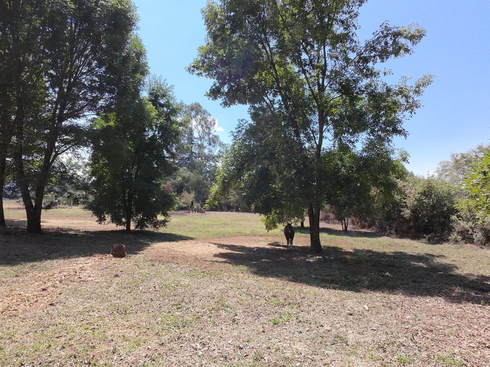 Land for Sale in Acatitlán, Valle de Bravo