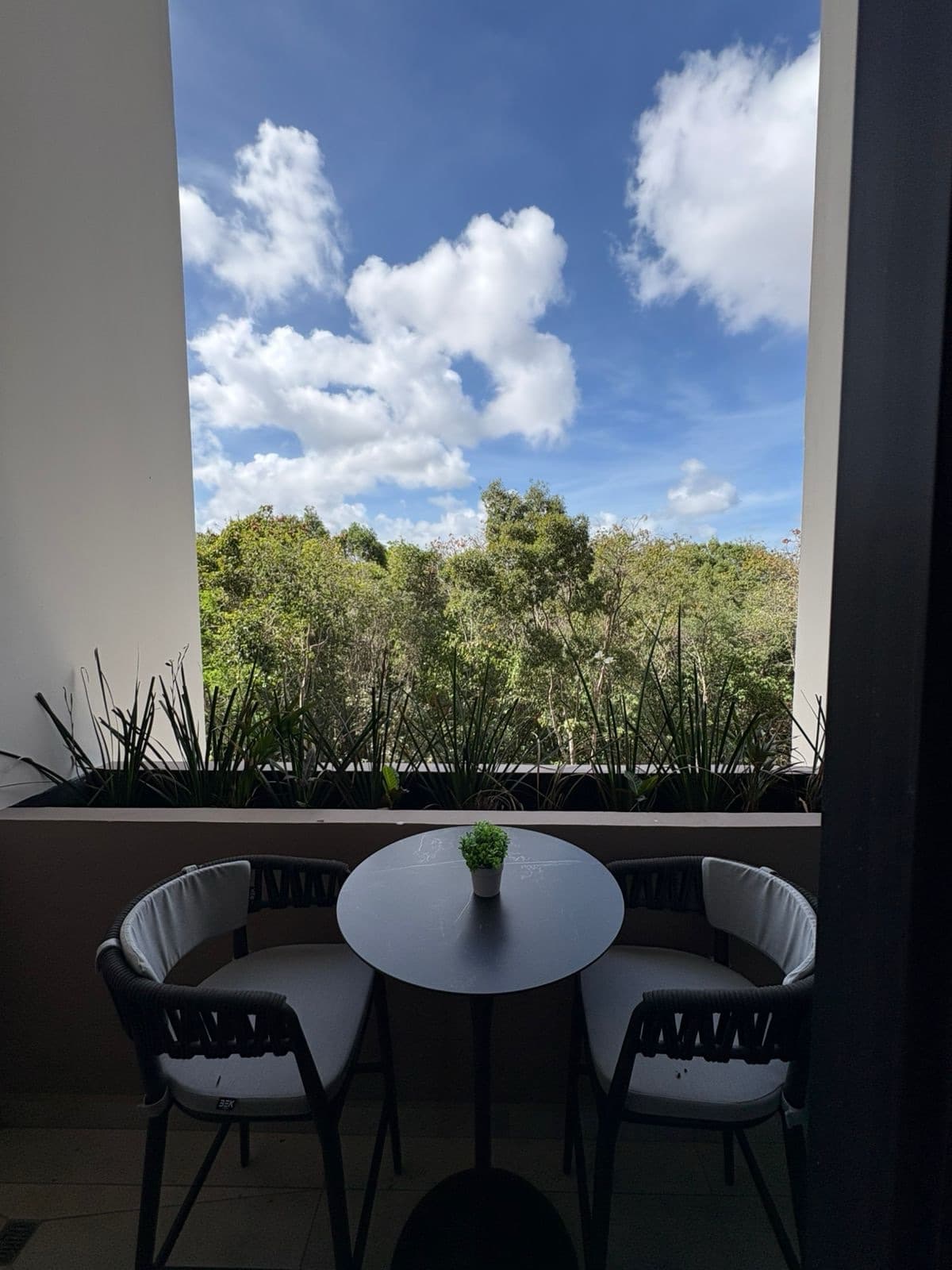 Apartment for Sale on Prol. La Luna