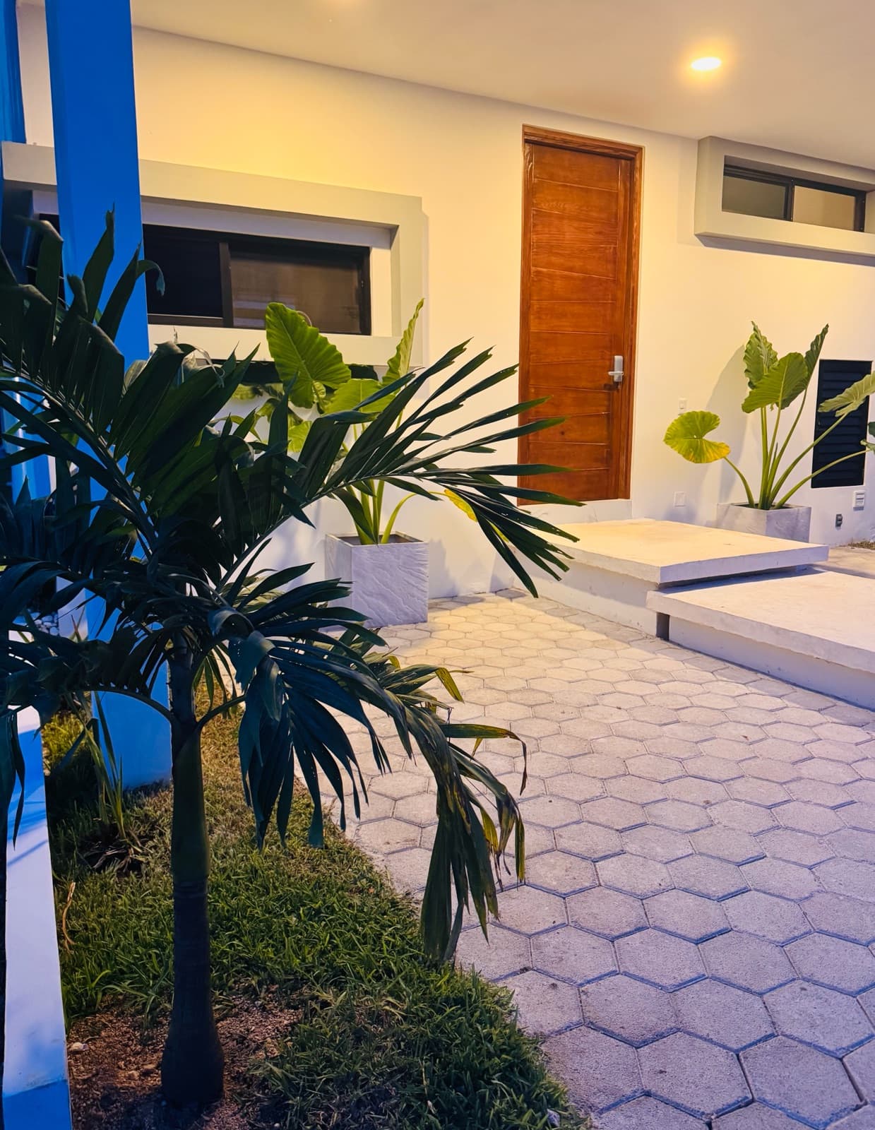 House - Arbolada