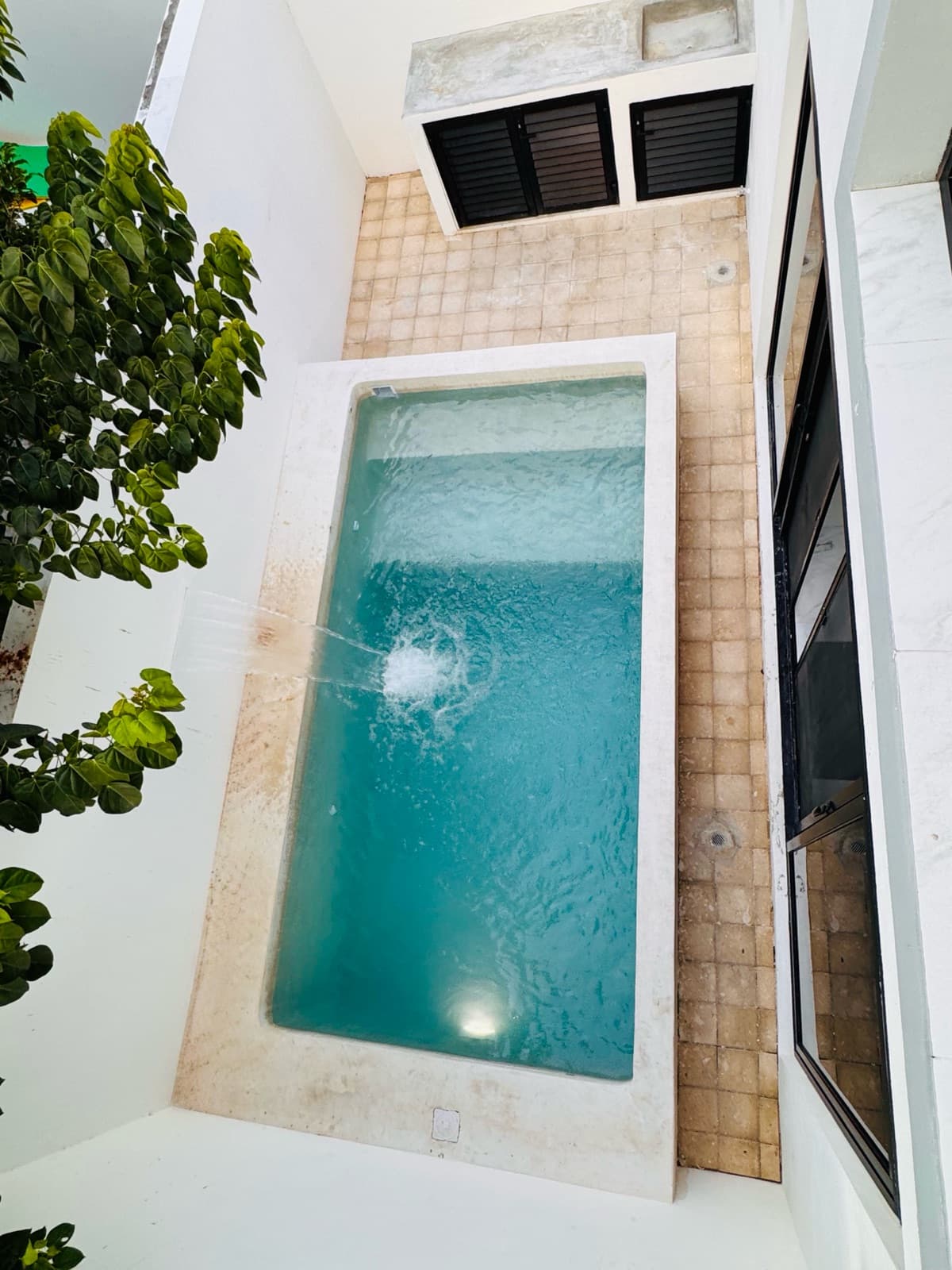 House - Arbolada
