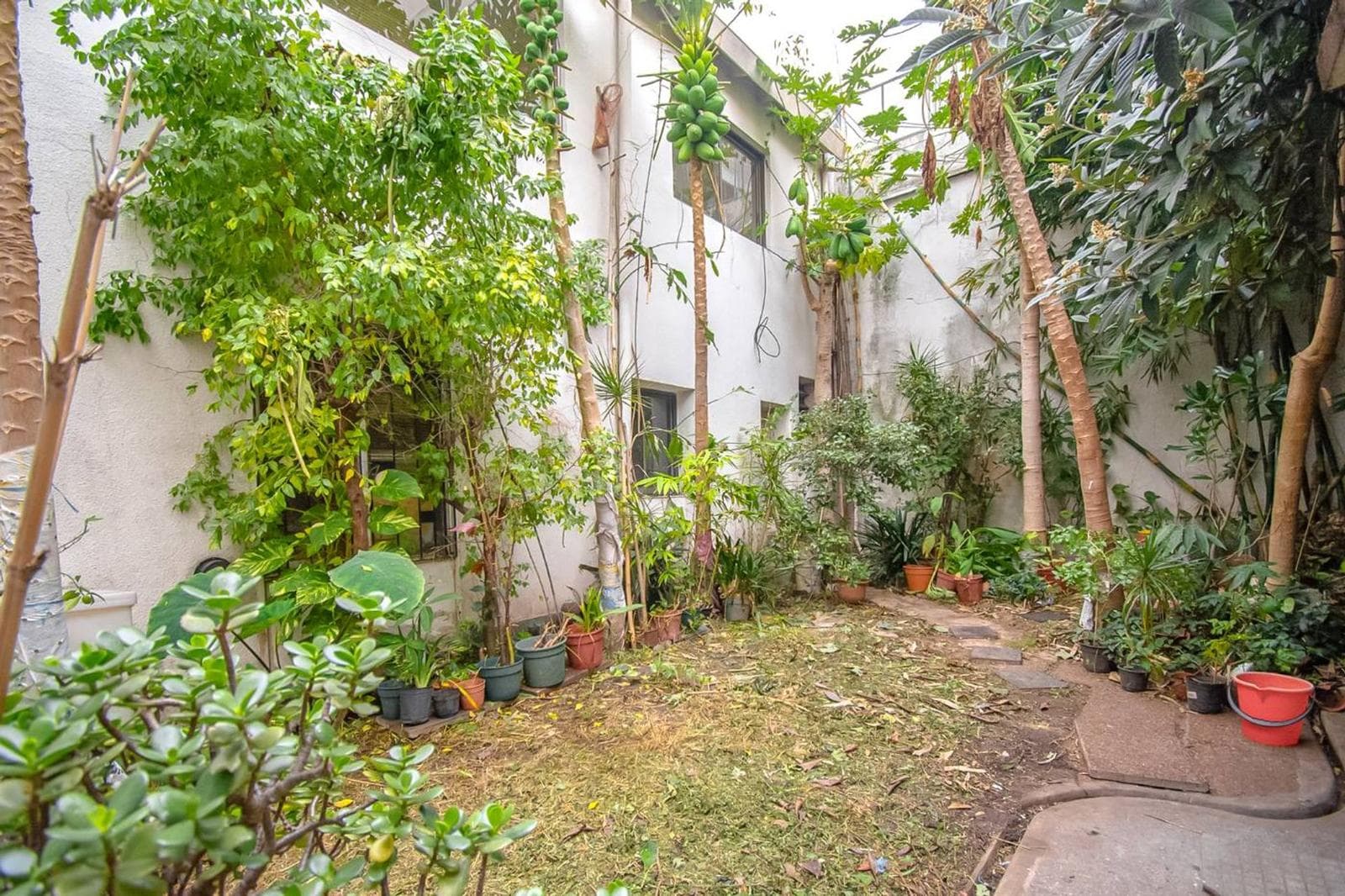 Land for Sale in Belgrano