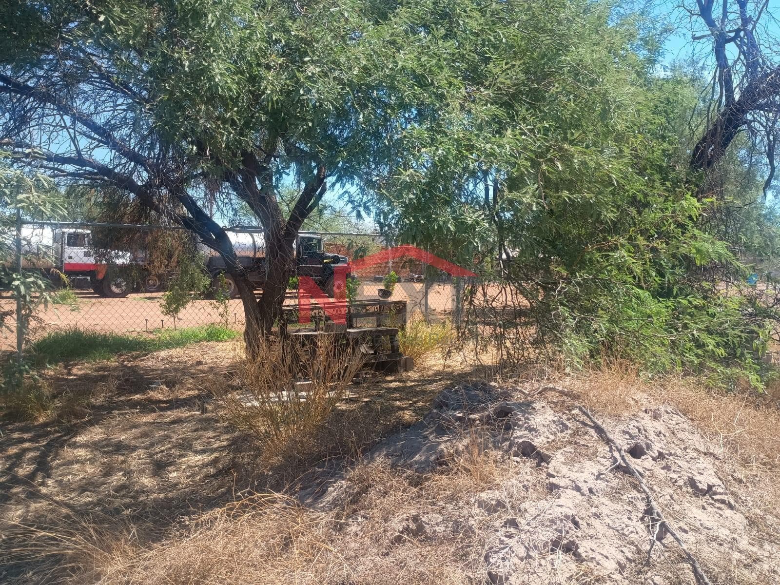 LAND FOR RENT IN REAL DEL CATORCE
