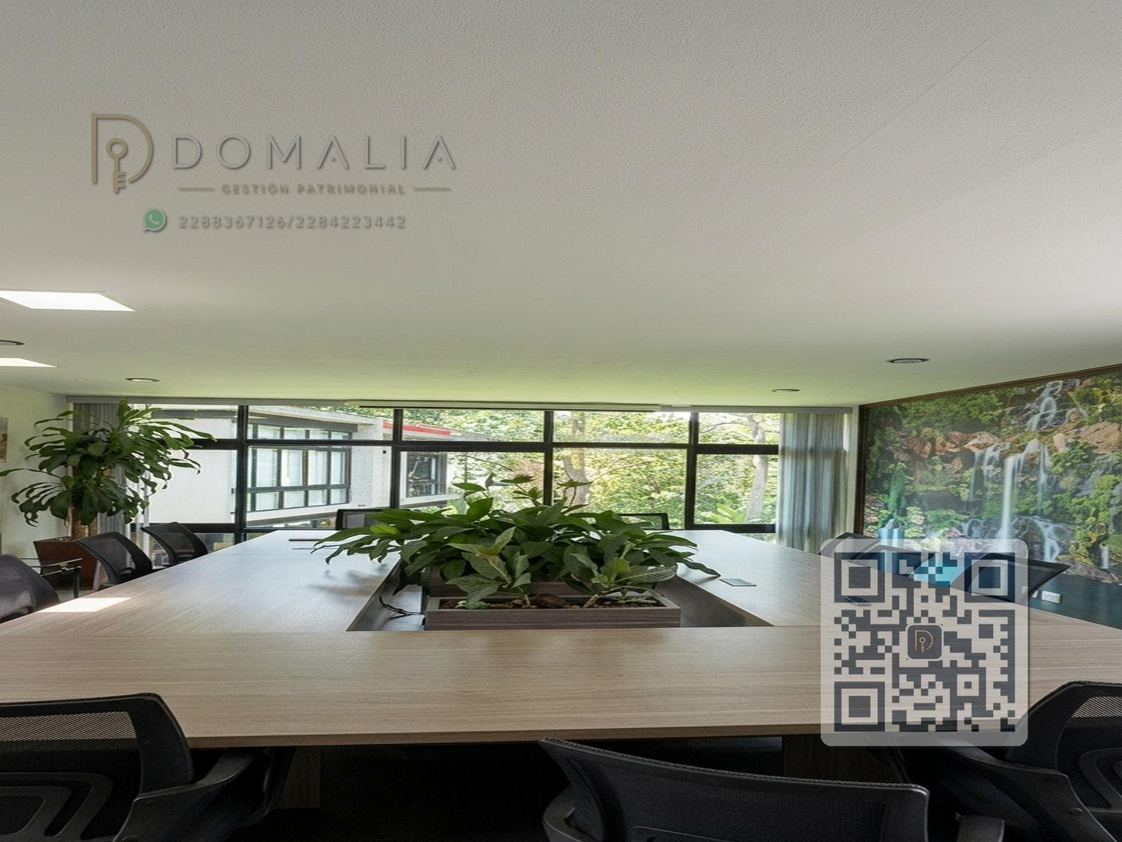 Corporate Complex for Sale – 8 Air-Conditioned Offices, Xalapa, Veracruz