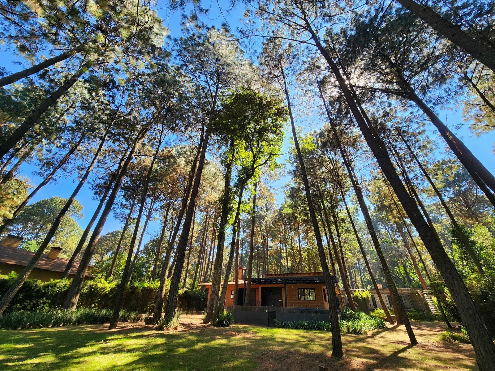 House for Sale in Cerro Gordo, Valle de Bravo