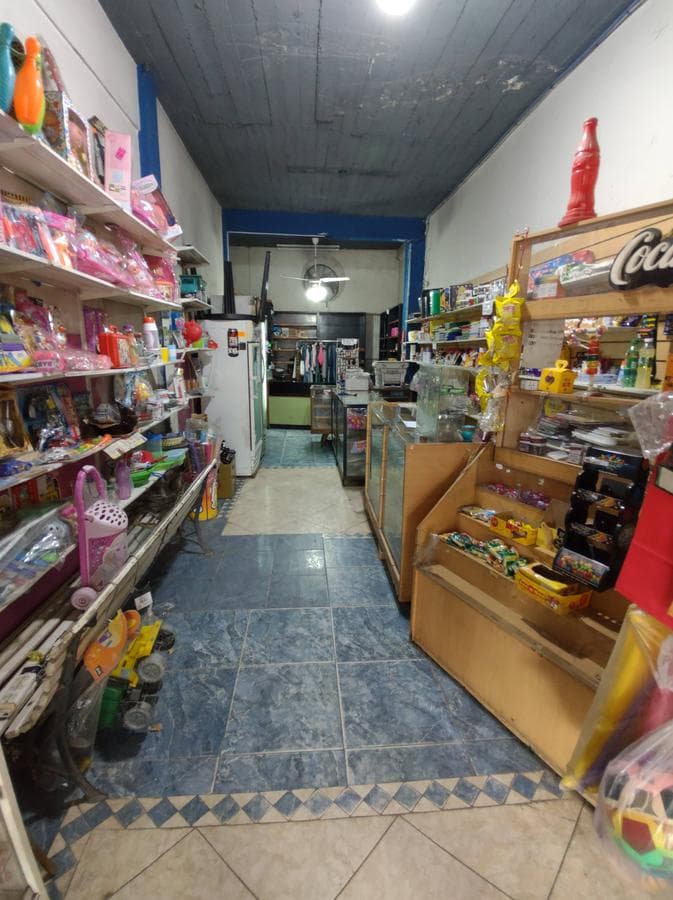 3-story building with 2 commercial spaces, a house, and an apartment for sale in G. de Laferrere