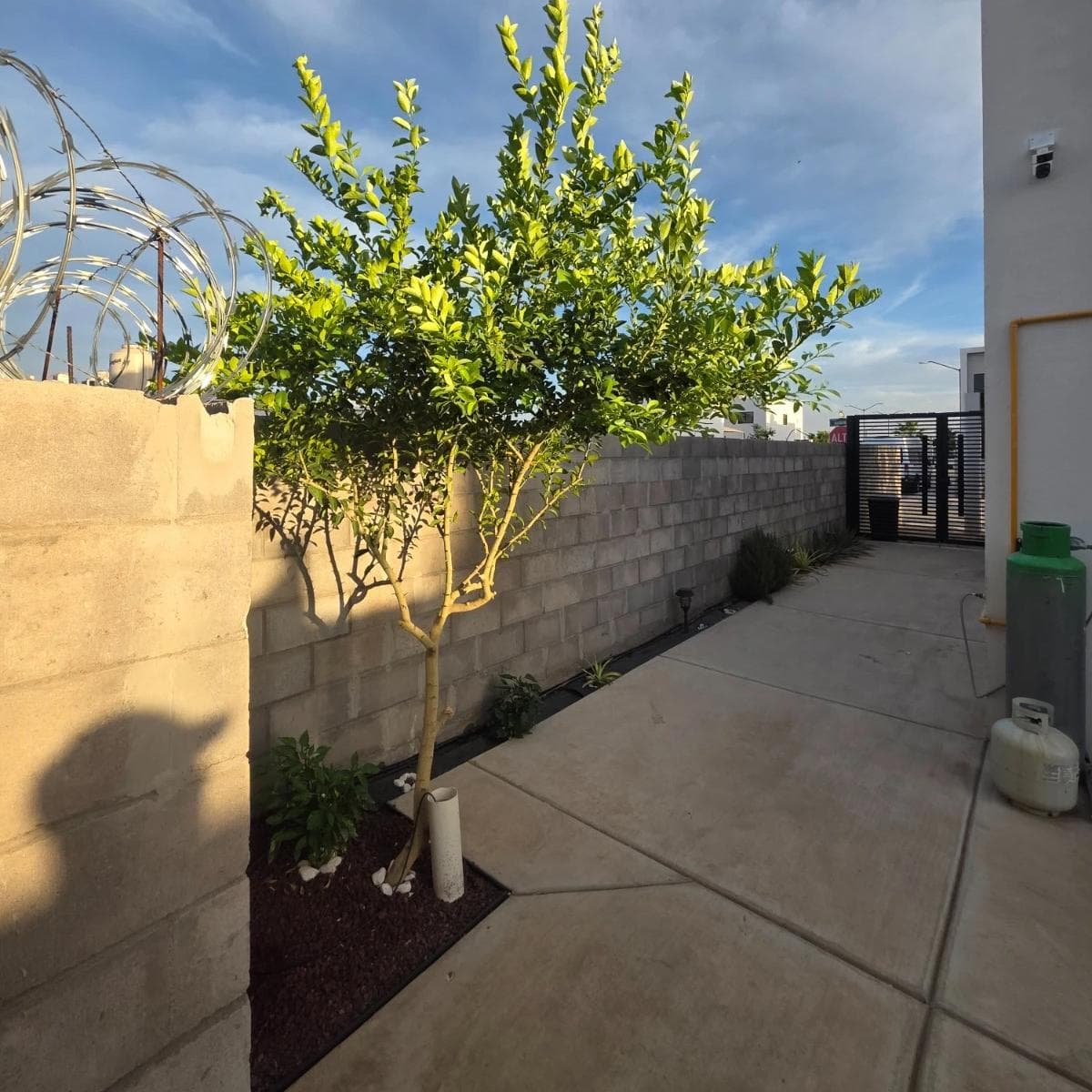 House for Rent in Acacia Residential