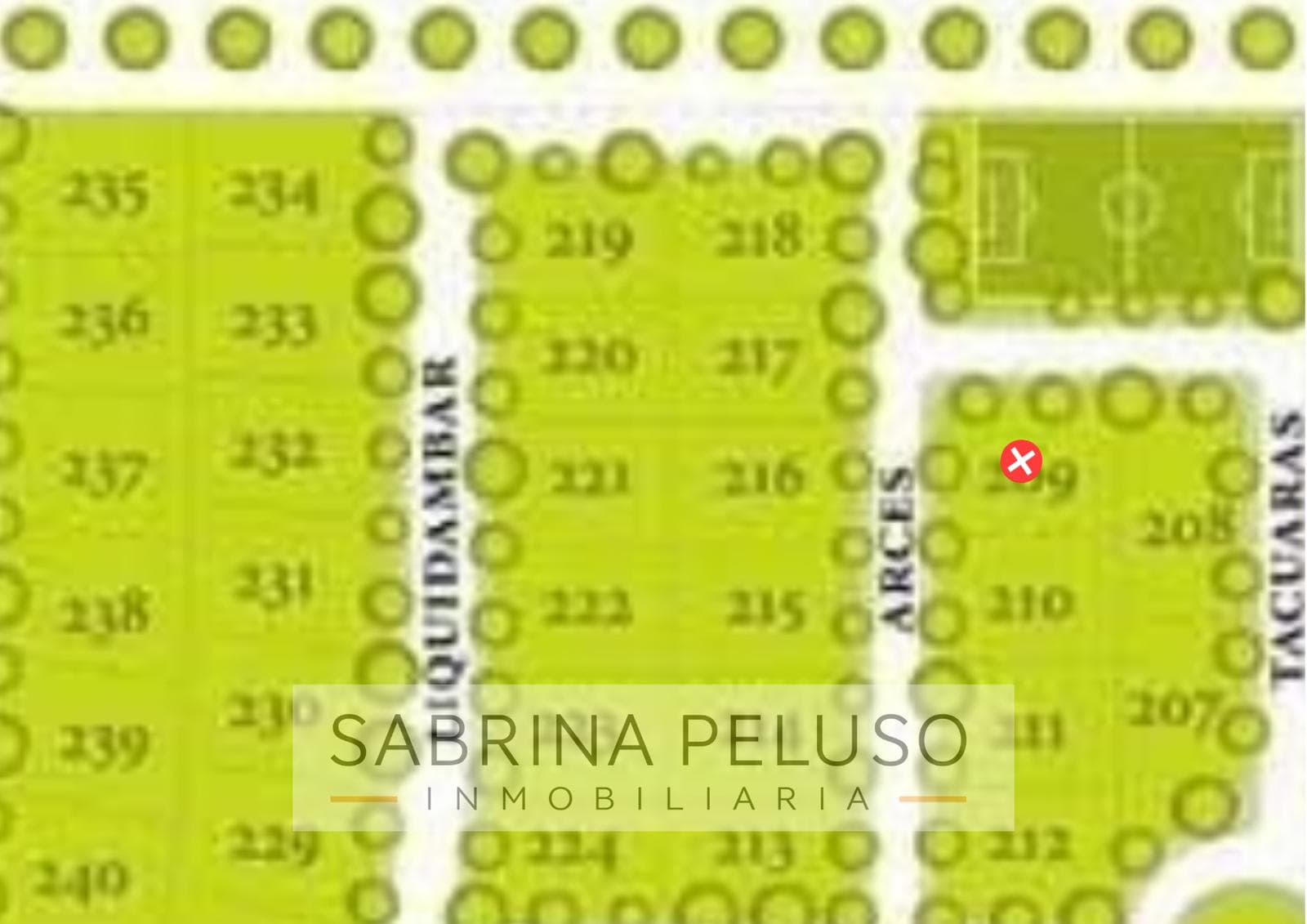 Land in La Cesarina