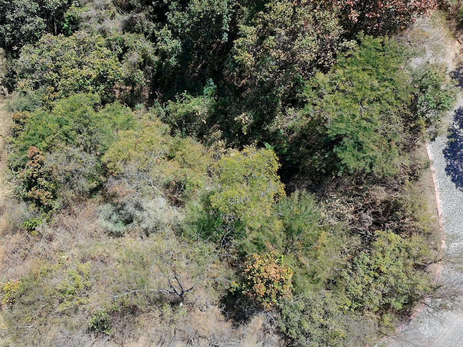 Land in San Gaspar