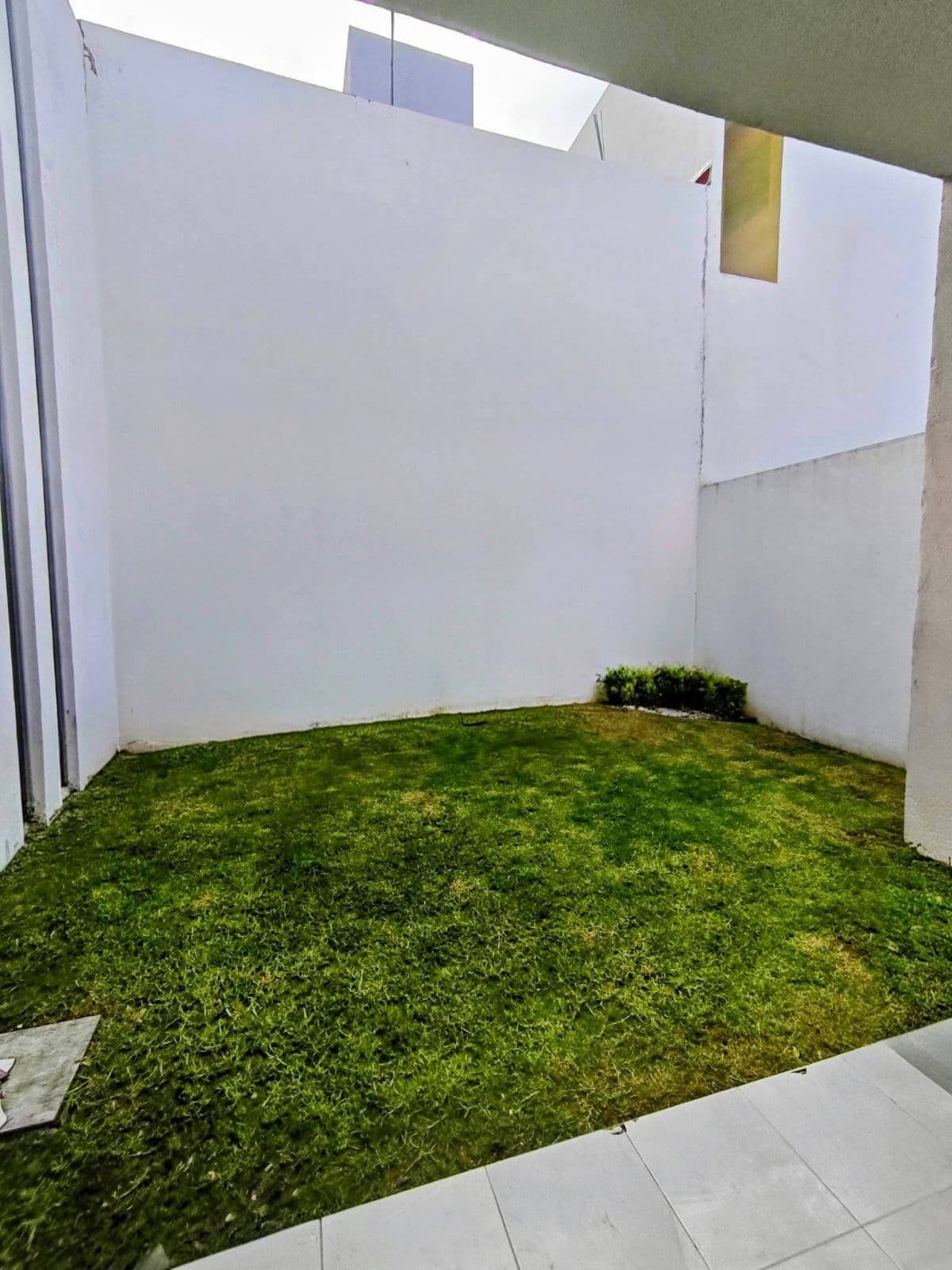 Home - Tulancingo de Bravo