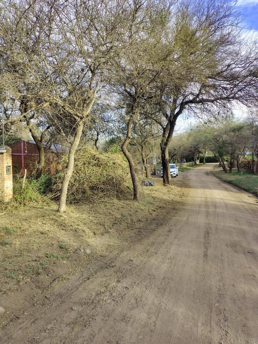 863 m² Plot of Land for Sale with a Beautiful Grove of Trees | 300 m from Route 14 | Los Pozos | Villa de Las Rosas