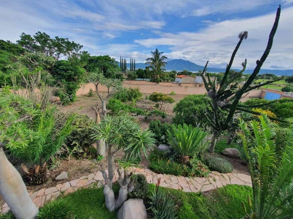 House in Downtown Ajijic