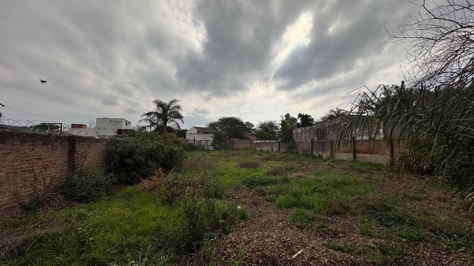 2-bedroom house in need of renovation, Arguello