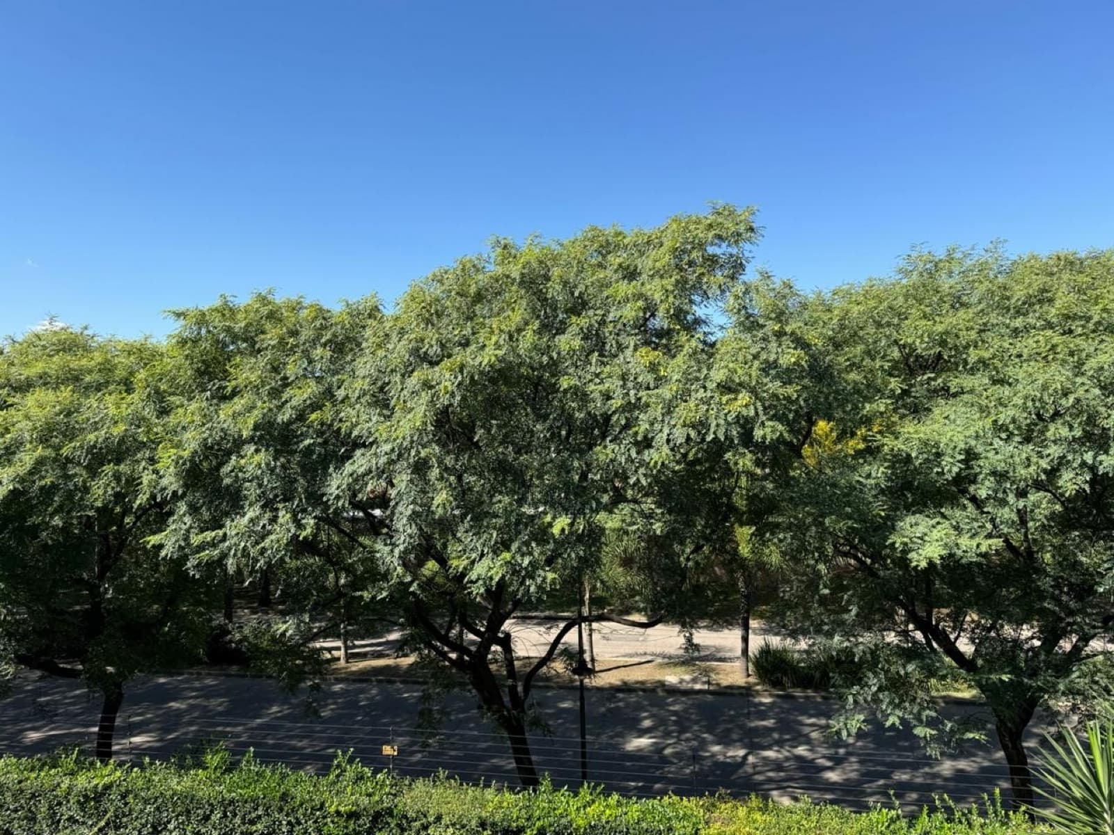 2-room apartment for sale in Arboris La Horqueta, San Isidro; Qualifies for a Loan