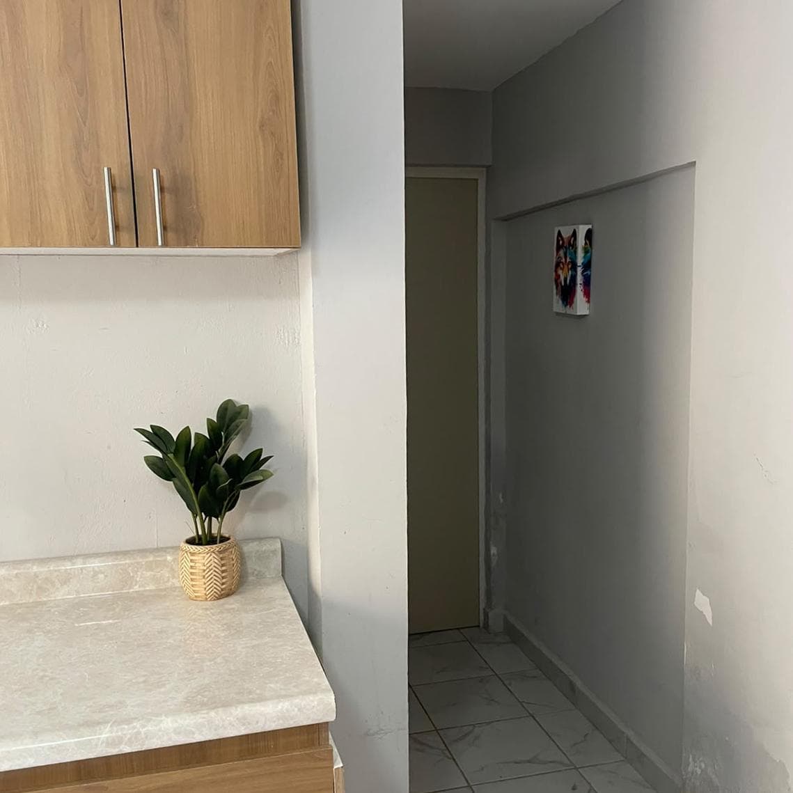 Apartment for Rent in Colonia Jesús García
