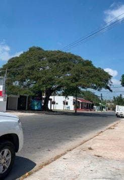 Land with a Building on It in García Ginerés, Mérida