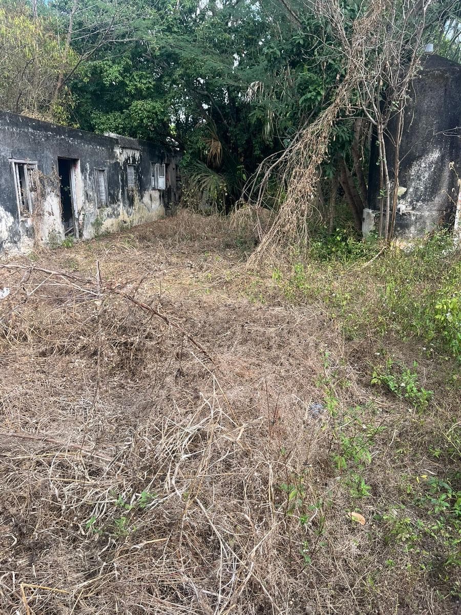 Land with a Building in Downtown Mérida