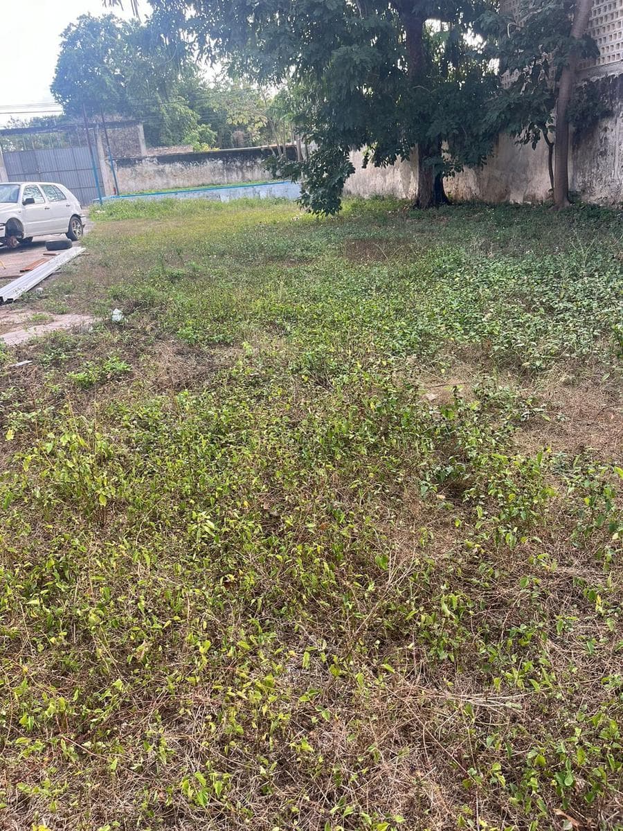 Land with a Building in Downtown Mérida