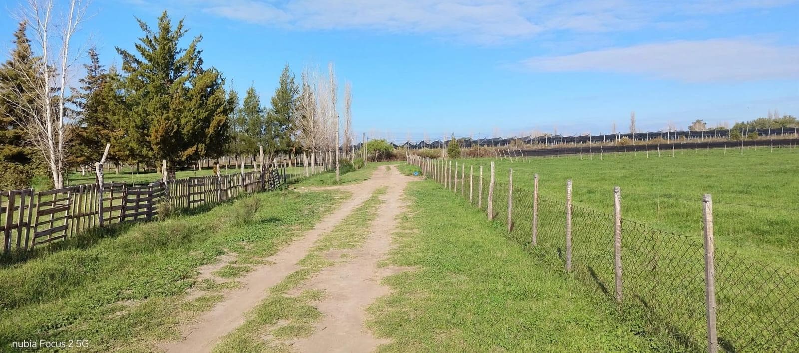 Lot, Las Paredes, San Rafael, Mendoza