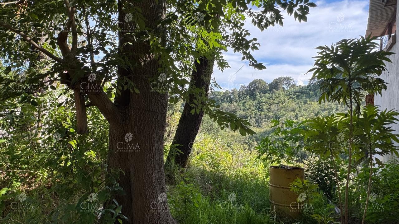 Lot with a Beautiful View in Colonia del Bosque - T83