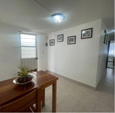 Furnished Apartment for Rent in Toluca | 2 Bedrooms | Ideal for Companies and Professionals